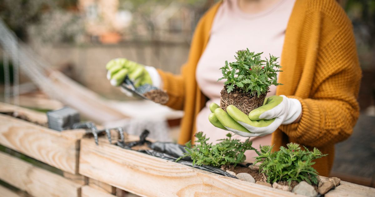 Nurturing Hope Through Horticulture: The Story of the Transition Academy  Garden Project