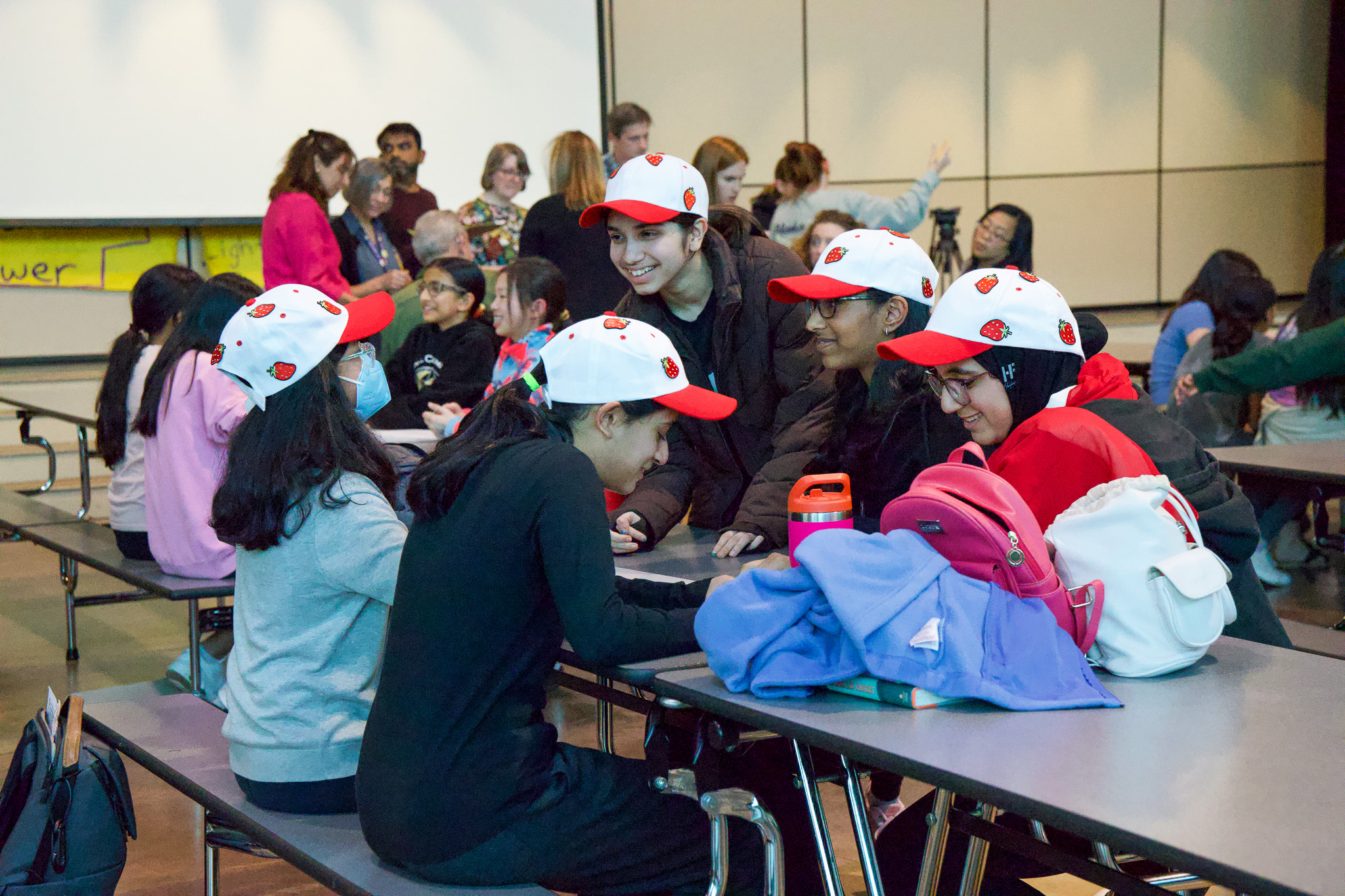 Battle of the Books