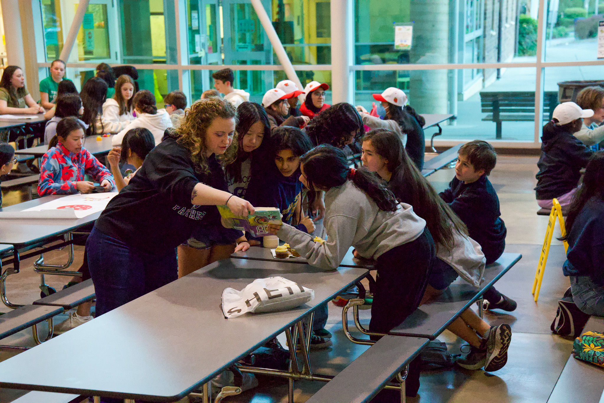 Battle of the Books