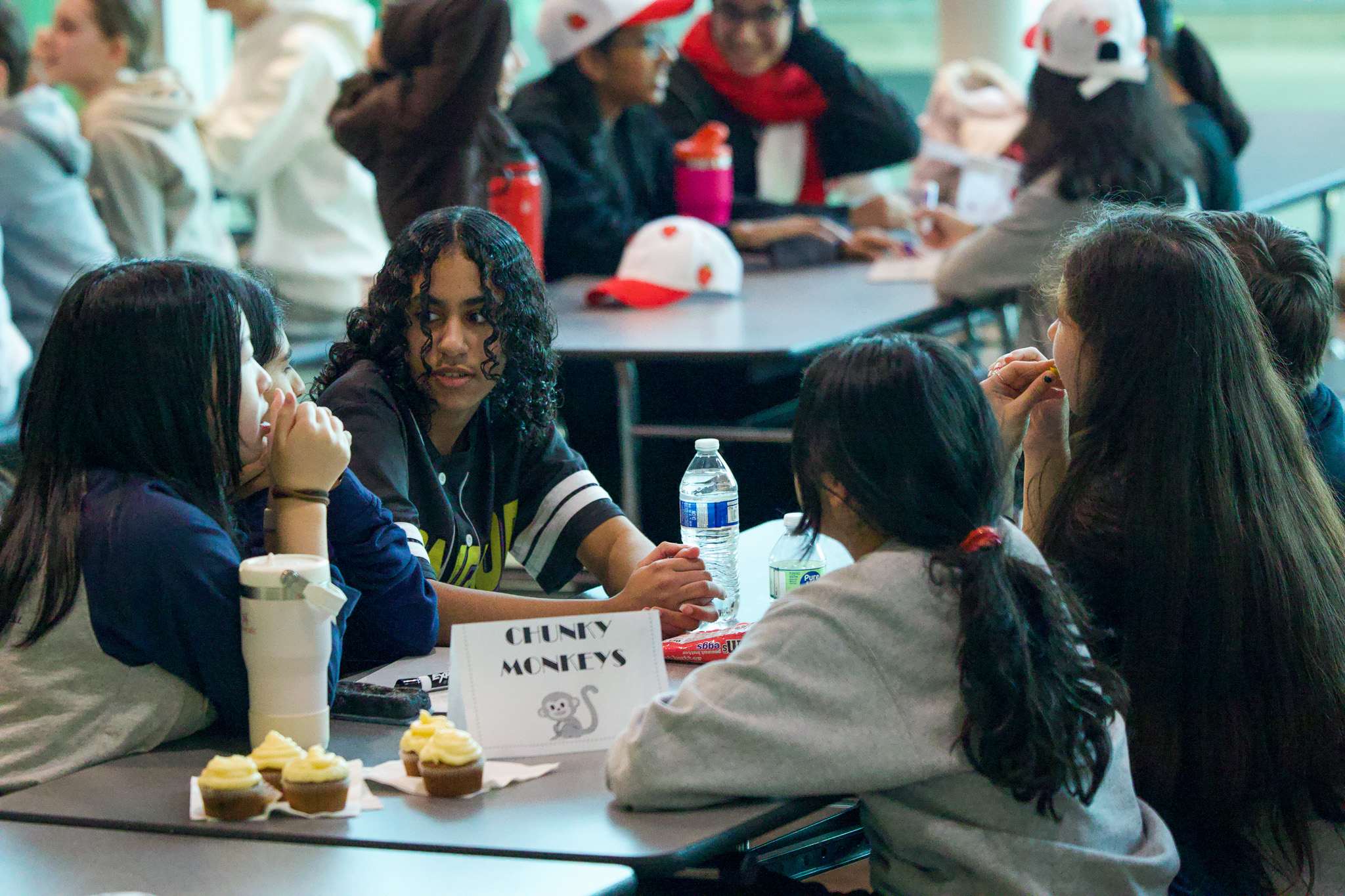 Battle of the Books