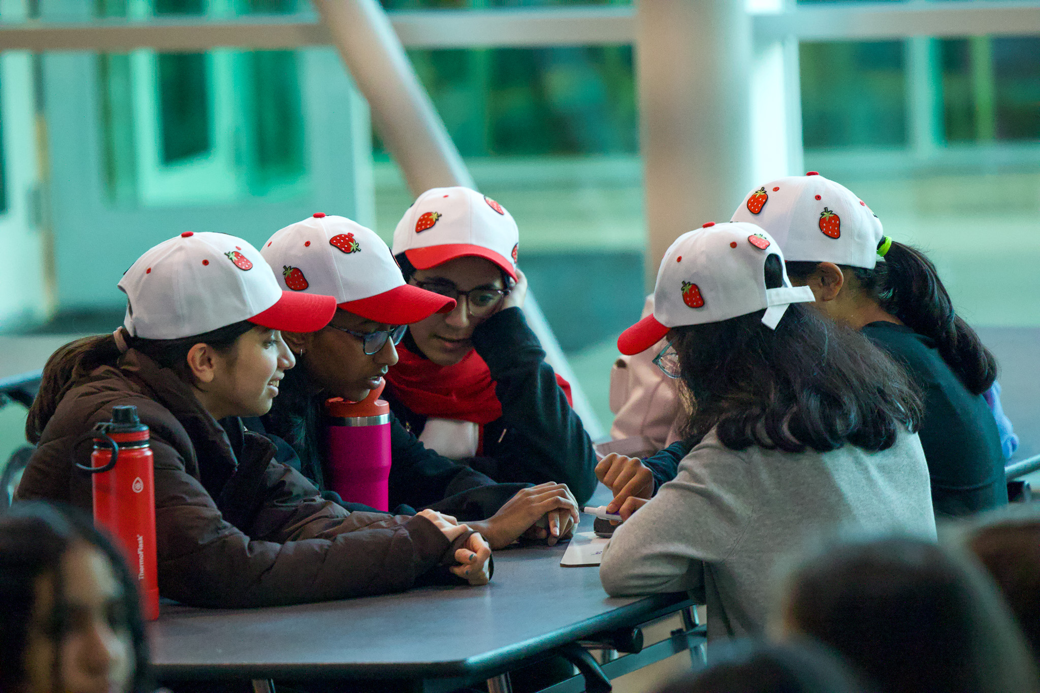 Battle of the Books